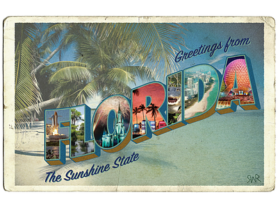 Florida Vintage Postcard