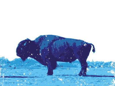 The Blue Buffalo abazzo graphics blue buffalo illustration vector