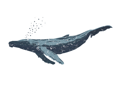 A Humpbacked Whale abazzo graphics fish illustration whale