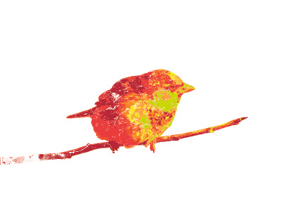 The Orange Bird abazzo graphics bird graphics orange red vector