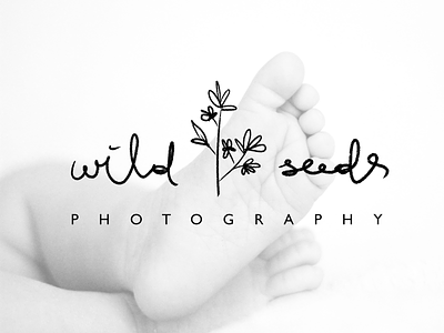 Wild Seeds Logo branding calligraphy children custom typography design gentle graphic handwriting handwritten logo illustration lettering art logo typography