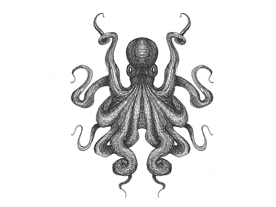 Octopus - DEEP Branding WIP creature icon illustration logo nautical ocean octopus