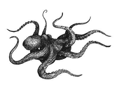 Octopus No. 2