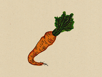 Carrot