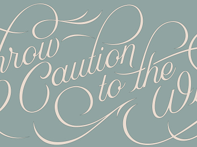 Throw Caution to the Wind brendan calligraphy caution lettering prince script throw type typography wind windy