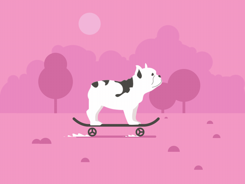 Skateboard design illustration 动画 品牌 插图 设计