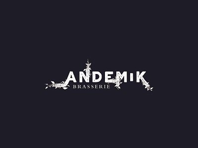 First search #2 for logotype Andemik