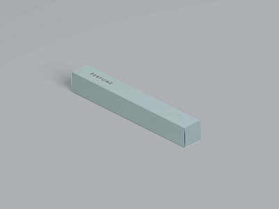 Free Hair Comb Box Mockup