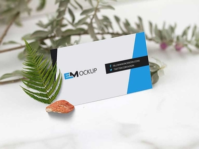 Latest Green Business Card Mock Up download mock up download mock ups download mockup mockup mockup psd mockups premium download premium mockup premium psd psd