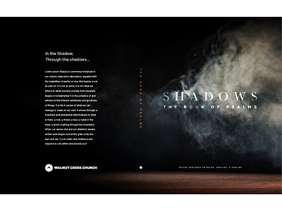 Shadows Study Guide bible book church dark journal series study guide