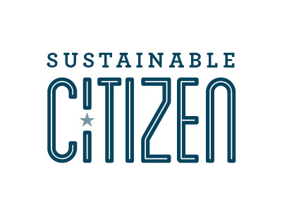 Collegiate Sustainability archer blanch blue class college curriculum grant green identity logo star sustainability sustainable