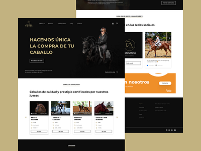 Gallery Horse Website brand creative elegant exploration horse horses inspiration landing luxury menu minimal portfolio sell shop web website