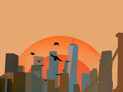 Birds of Sunset birds illustration new york