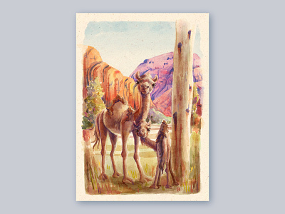 australian feral camels australia camels children book illustration childrens illustration digital watercolor illustration painting procreate vegan