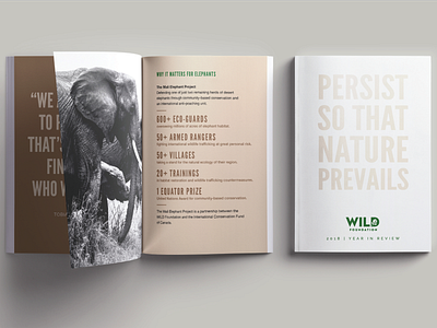 Wild Foundation Annual Report annual report brochure design graphic deisgn