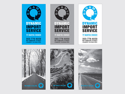 Dynamic Import Service Branding branding design graphic deisgn logo