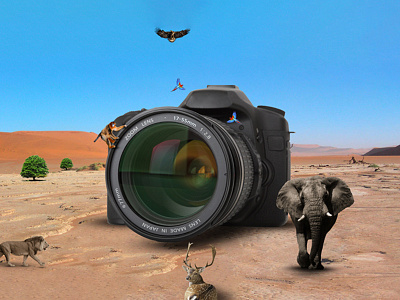 Camera animals camera desert elephant lion