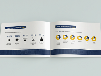 Background On The Nigerian Nonprofit Sector Report Design branding brochure design brochure layout design icon report