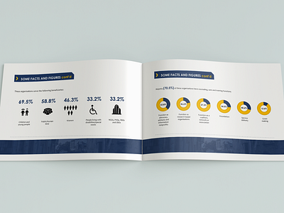 Background On The Nigerian Nonprofit Sector Report Design