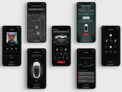 Tesla Mobile App with Autopilot Design