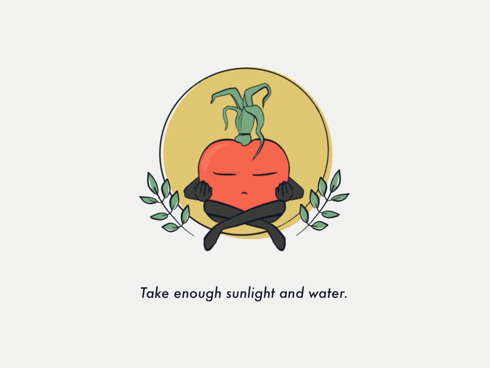 Zen Tomato