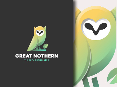 Owl Logo animal bird bird logo brand branding fly herbal logo logo design medical medicine night owl owl logo therapy