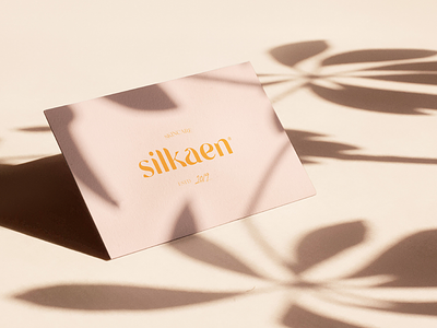 Silkaen® branding branding process creative logos freelance logo portfolio vector visual identity