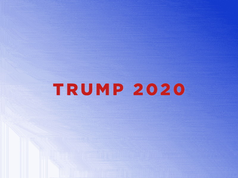 FALLEN TRUMP 2020