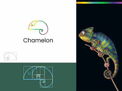 Cameloon logo design concept golden ratio