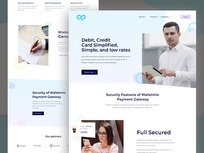 Online Payment Gateway Company Landing Page Design