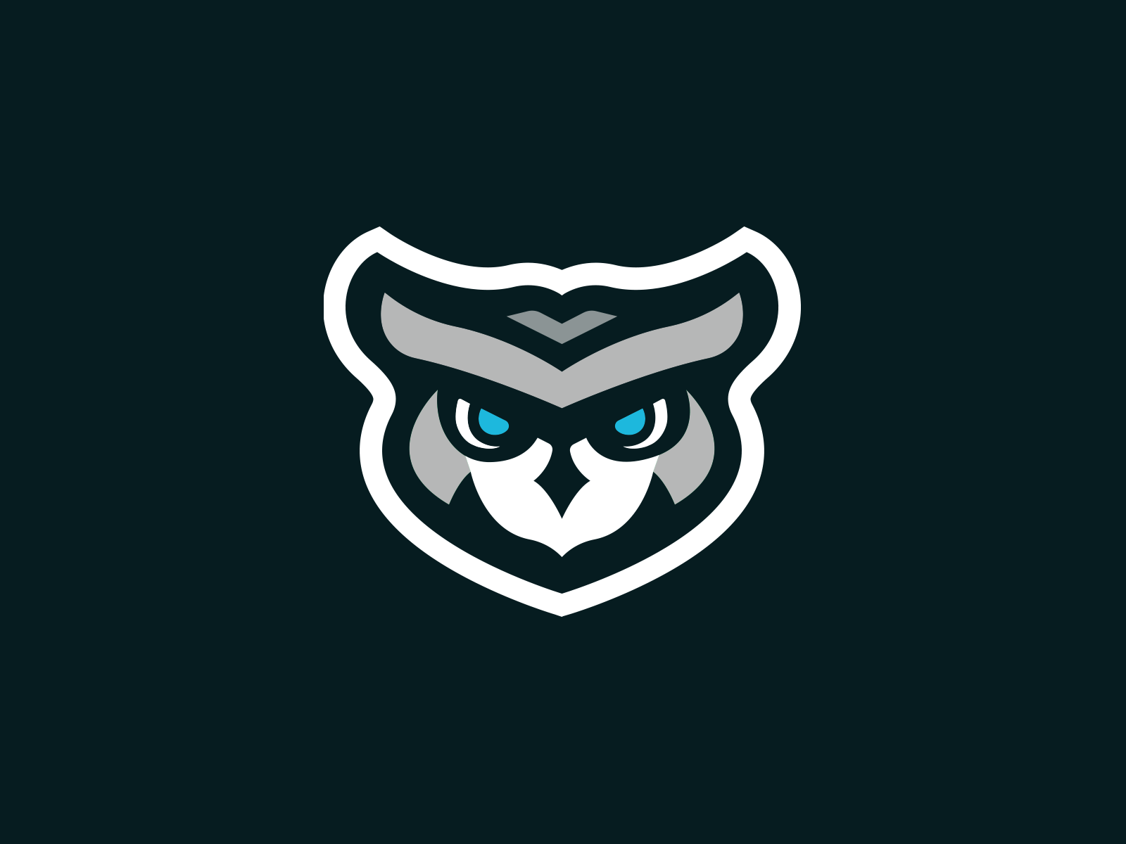 Eagle Owl Mascot by Joshua Dailey on Dribbble