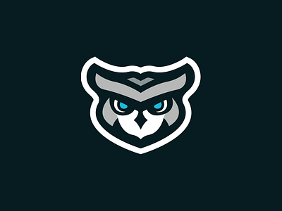 Eagle Owl Mascot branding debut debutshot design eagle eagle logo graphic design illustrator logo mascot mascot logo owl owl logo