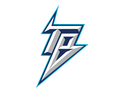 Tampa Bay Logo Word Mark design hockey icon logo logo design promotion design strategic thinking systems design typography