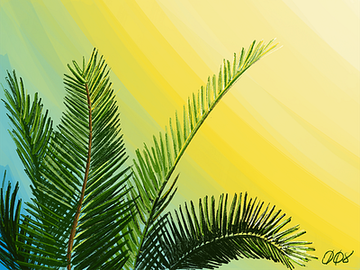 Peeking Palms #008 design illustration illustrator palm palm tree plant sunrise sunset tree