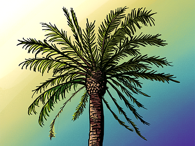Palm Trees #10 draw green ilustration ink line art palm trees palms plant procreate sun sunset the100dayproject