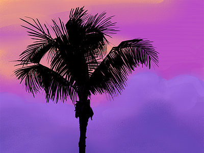 Palm Tree Silhouette