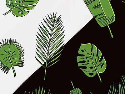 Palm Leaf Patterns