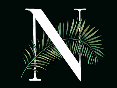 Palm Lettering illustration leaf leaves lettering nature organic palm leaves palm trees typographic typography