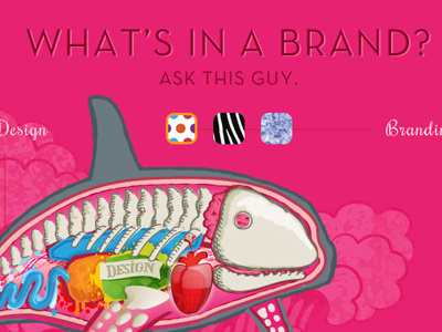 Company homepage branding illustration pink web whale