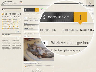 Upload the kitteh application design content management ui ux web design