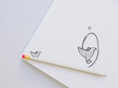 Branding “Frida” birds branding color design flat illustration logo typography ui vector
