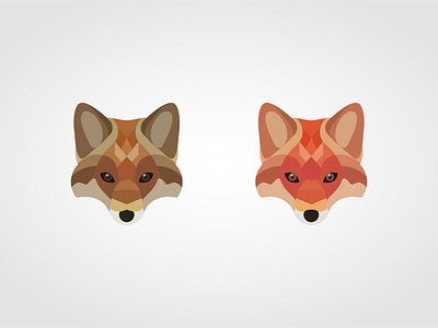 fox illustration 插图