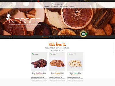 NESSEE web UI creative design ui website
