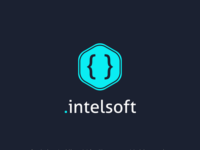 Intelsoft branding logo software