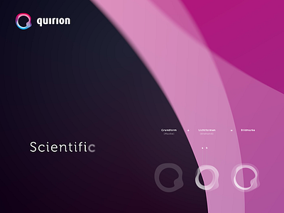 Branding quirion app banking branding design logo roboadvisor uiux