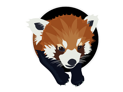 Red Panda Icon (Dribbble Rebound) adobe illustrator dribbble graphic design icon iconography icons illustration illustrator playoff red panda vector vector art zoo zoo animal