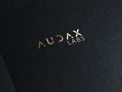 audax labs logo logodesign modern typeface virtualreality wordmark