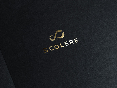 scolere logo branding icon infinity logo s letter logo symbol icon