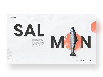 Salmon. clean design mewjon page web