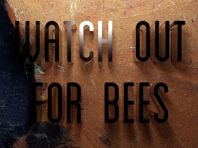 Watch Out For Bees 3d type